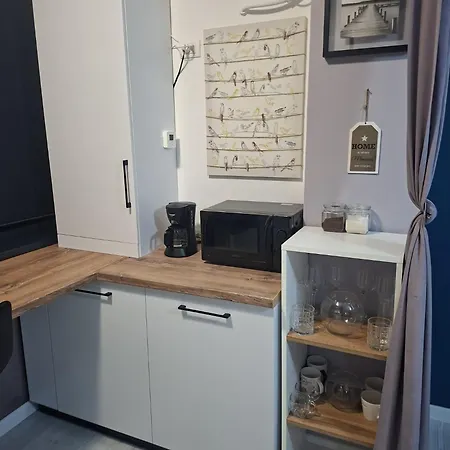 Clausstudio Promenada Mamaia Nord شقة *